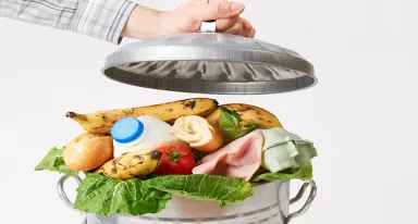 food waste solutions